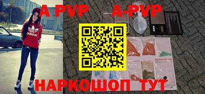 твердый Кингисепп
