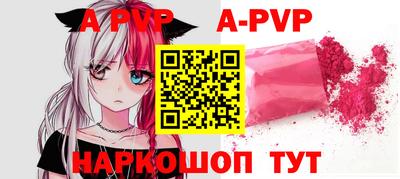 твердый Кингисепп