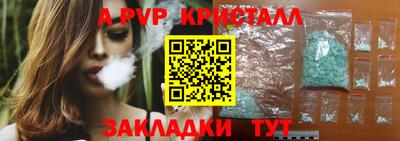 твердый Кингисепп