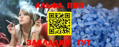 твердый Кингисепп