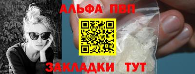 твердый Кингисепп