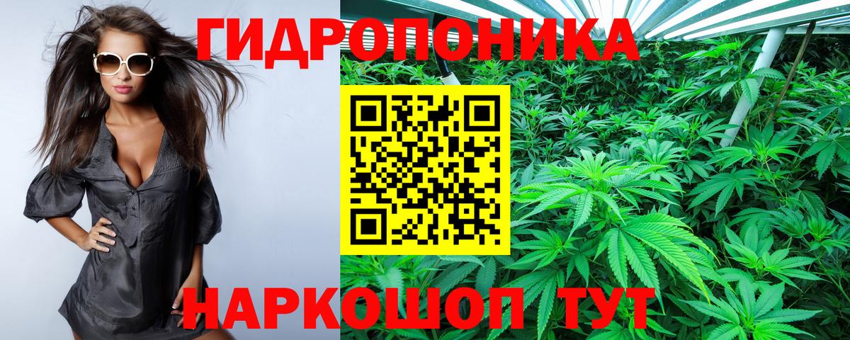 Кемерово  Конопля план  Бошки марихуана гибрид  Канабис VHQ  Вход с VPN 